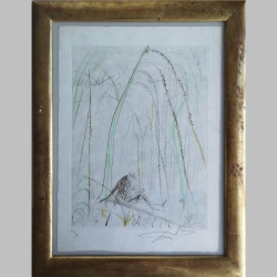 Salvador Dalì - La Saule Pleureur