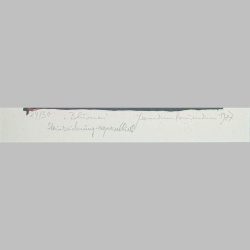 Hermann Naumann | Blumen