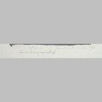 Hermann Naumann | Blumen