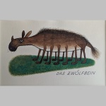 Willi Hertlein | Das Zwölfbein