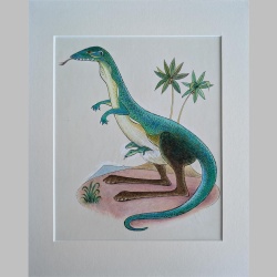 Willi Hertlein | Echsenkangaroo