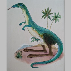 Willi Hertlein | Echsenkangaroo