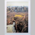 Christo | The Gates IV